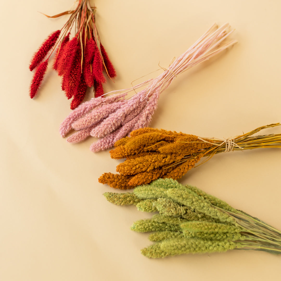 Pink Dried Flowers