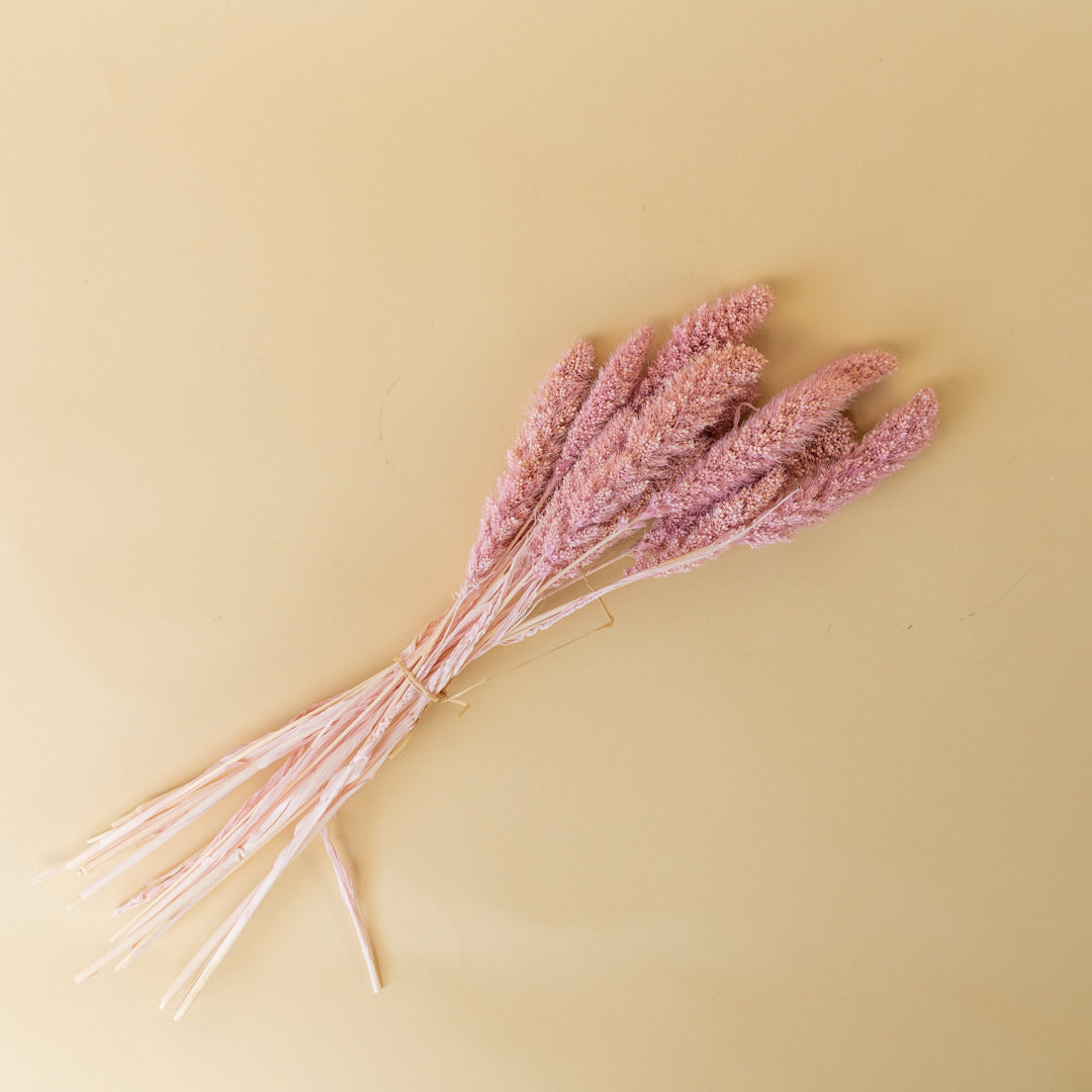 Pink Dried Flowers